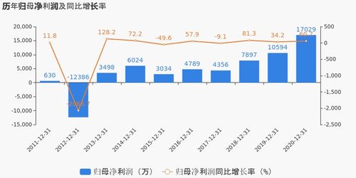 有研新材2020年度業(yè)績顯著提升，歸母凈利潤同比大漲60.74%，投資項目回報成未來焦點